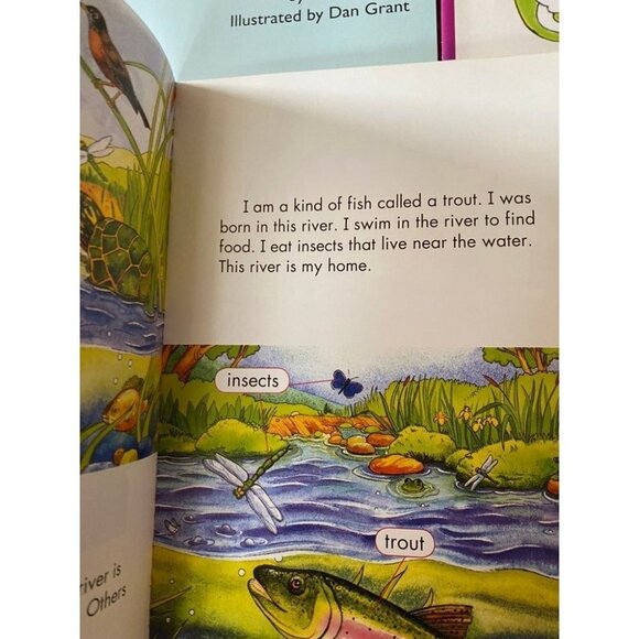 Scott Foresman Reading Street 3.1.1 ELL Reader elementary homeschooling reading - Picture 2 of 5